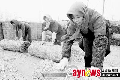 江苏省连云港市赣榆县农民将稻草帘外销（图）