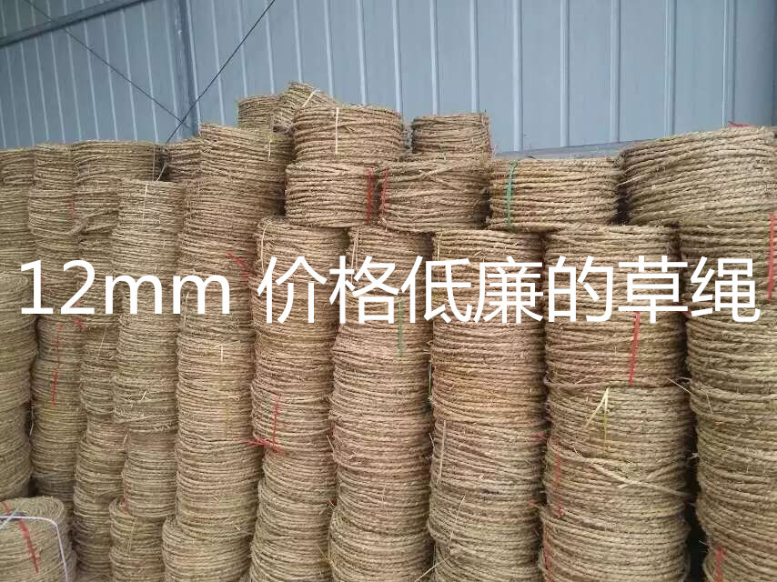 QQ图片20151214212606_副本