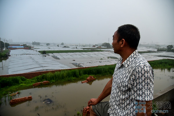 现场直击南京暴雨：蔬菜大棚几乎没顶 收成要泡汤了