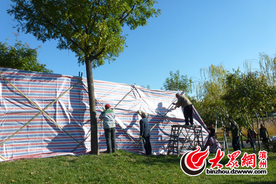 滨州城区苗木穿上了“防寒服” 确保安全过冬 滨州城区苗木穿上了“防寒服” 确保安全过冬