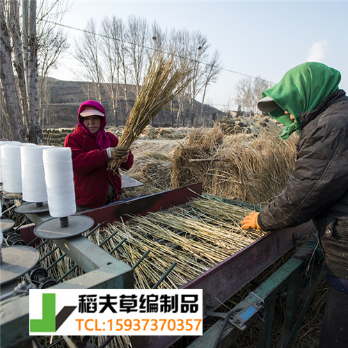 实拍农民稻田收割后稻草的利用，编织成草帘子发往全国各地